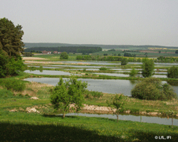 Foto Karpfenweiherlandschaft