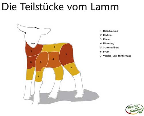 Teilstücke vom Lamm, gezeichnet. Hals/Nacken, Rücken, Keule, Dünnung, Schulter/Bug, Brust, Vorder-und Hinterhaxe