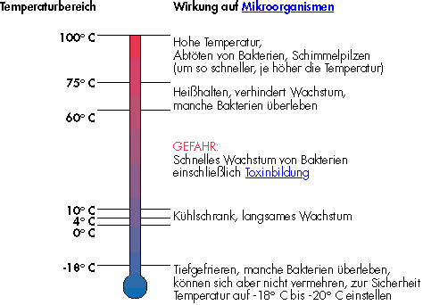 Das Bild zeigt ein Thermometer und die einzelne Wirkung auf Mikoorganismen bei einer bestimmten Temperatur: 75-100° C: Hohe Temperatur, Abtöten von Bakterien, Schimmelpilzen (um so schneller, je höher die Temperatur): 65 - 75°C: Heißhalten, verhindert Wachstum, manche Bakterien überleben; 10-60C: Gefahr: Schnelles Wachstum von Bakerien eischließlich Toxinbildung; 0-10°C: Kühlschrank, langsames Wachstum; -18°C: Tieffrieren, manche Bakterien überöeben, können Sich aber nicht vermehren, zur Sicherheit Temperatur auf -18 - -20 °C einstellen