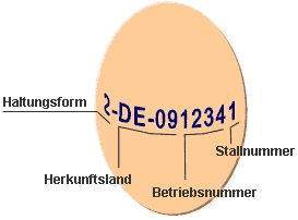 Schema: Ei mit Erzeugercode