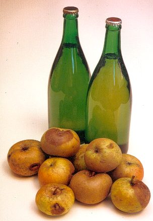 verfaulte Äpfel und Fruchtsaft