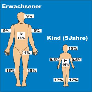 prozentuelle Aufteilung der Hautoberfläche